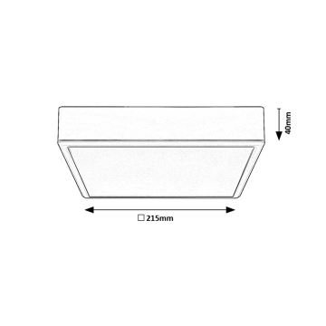 Rabalux - LED Laevalgusti LED/22W/230V 3000/4000/6000K 21x21 cm valge