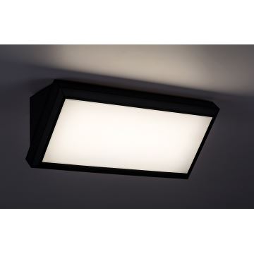 Rabalux - LED Väli seinavalgusti LED/12W/230V IP54