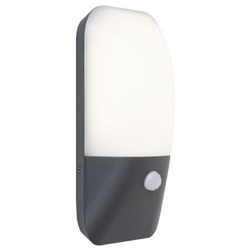 Rabalux - LED Anduriga seinavalgusti õue LED/11W/230V IP54 4000K