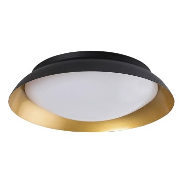 Rabalux - LED Laevalgusti LED/24W/230V 3000K d. 40 cm