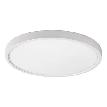 Rabalux - LED Laevalgusti LED/24W/230V 4000K d. 30 cm valge