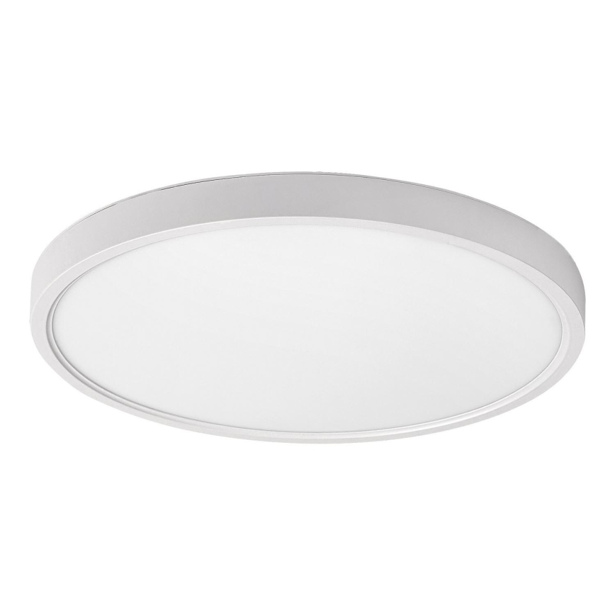 Rabalux - LED Laevalgusti LED/24W/230V 4000K d. 30 cm valge