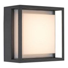 Rabalux - LED Väli seinavalgusti LED/6,5W/230V IP65