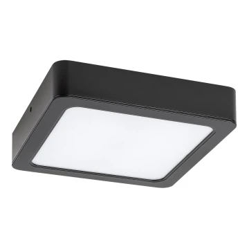 Rabalux - LED Vannitoa laevalgusti LED/24W/230V 22 cm IP44