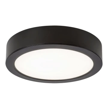 Rabalux - LED Vannitoa laevalgusti LED/24W/230V d. 22 cm IP44