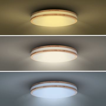 LED Hämardatav laevalgusti WOODY LED/60W/230V 3000-6500K tamm d. 50 cm + kaugjuhtimispult