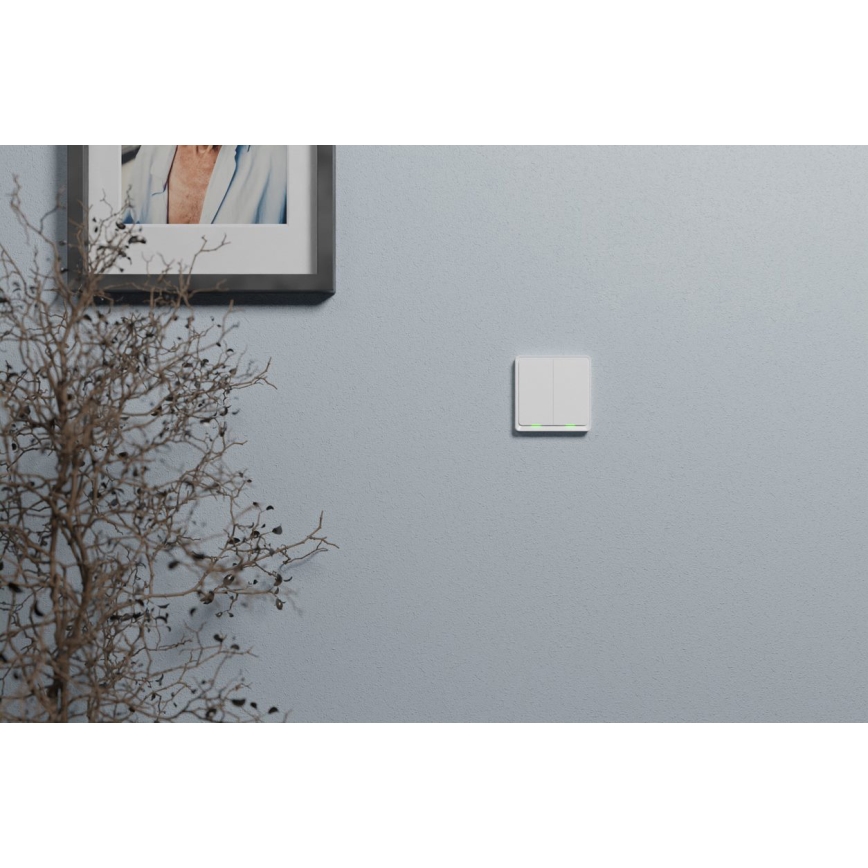 TESLA Smart - Nutilüliti 2P 230V Zigbee