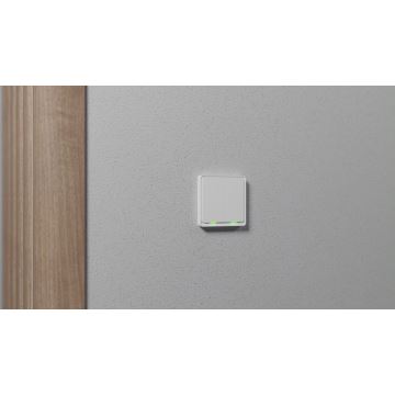 TESLA Smart - Nutilüliti 2P 230V Zigbee