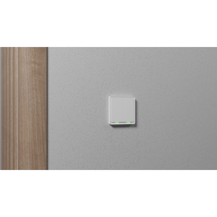 TESLA Smart - Nutilüliti 2P 230V Zigbee